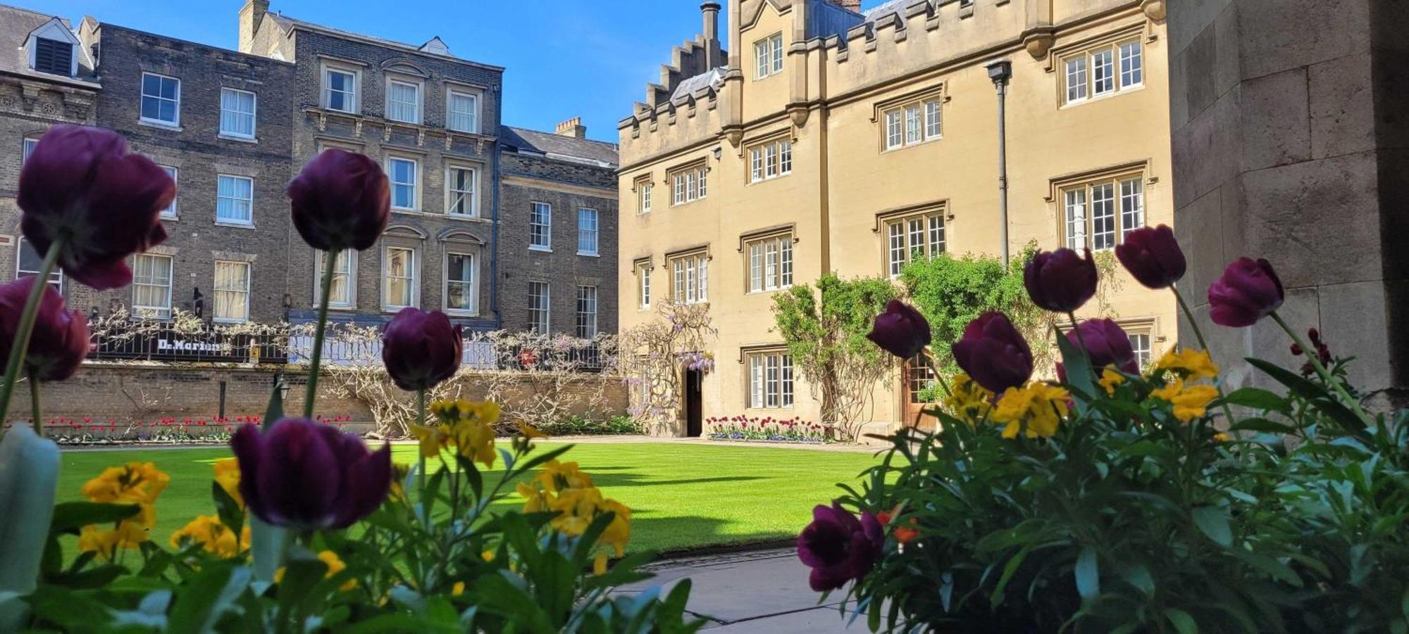 Apartamento Sidney Sussex College, *